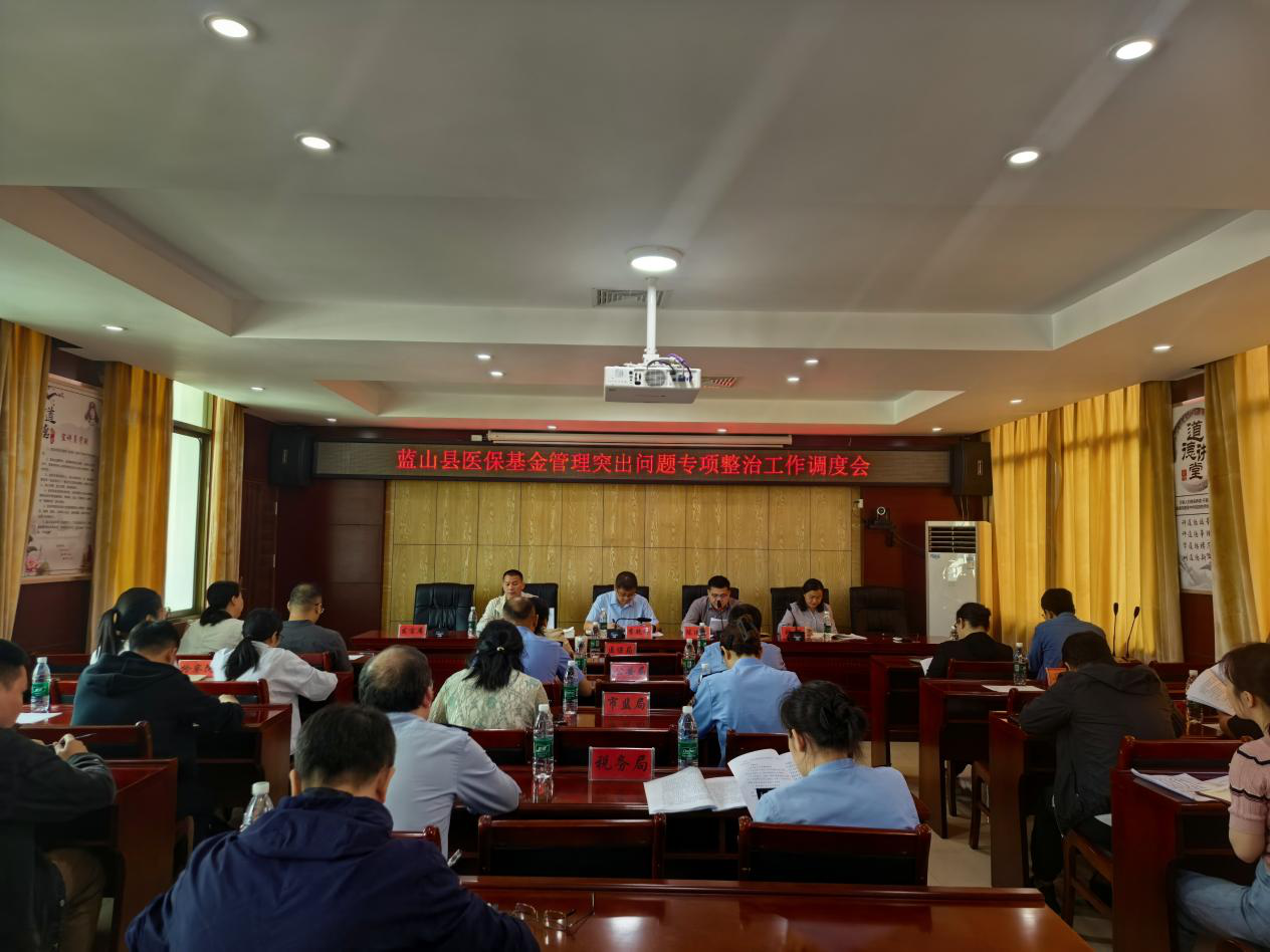 蓝山县召开医保基金管理突出问题专项整治提升医保管理服务质效工作调度会