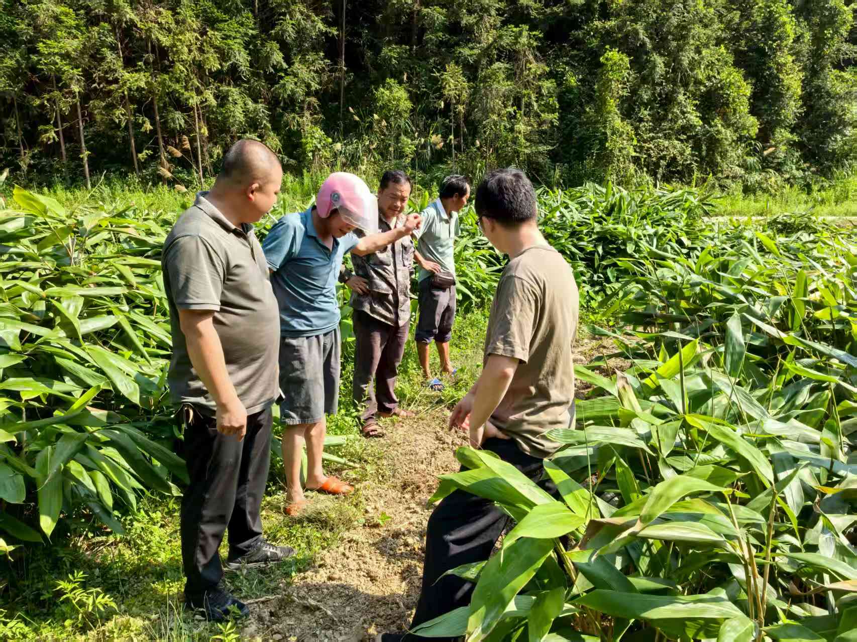犁頭瑤族鄉(xiāng)：人大代表當橋梁 現(xiàn)場化糾紛