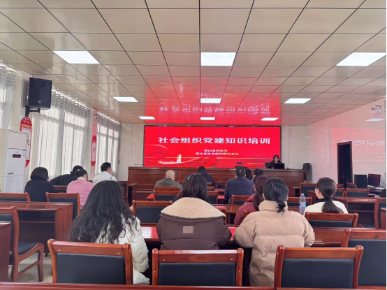 蓝山：“实务筑基、融合聚力：走好新时代社会组织党建赋能之路”