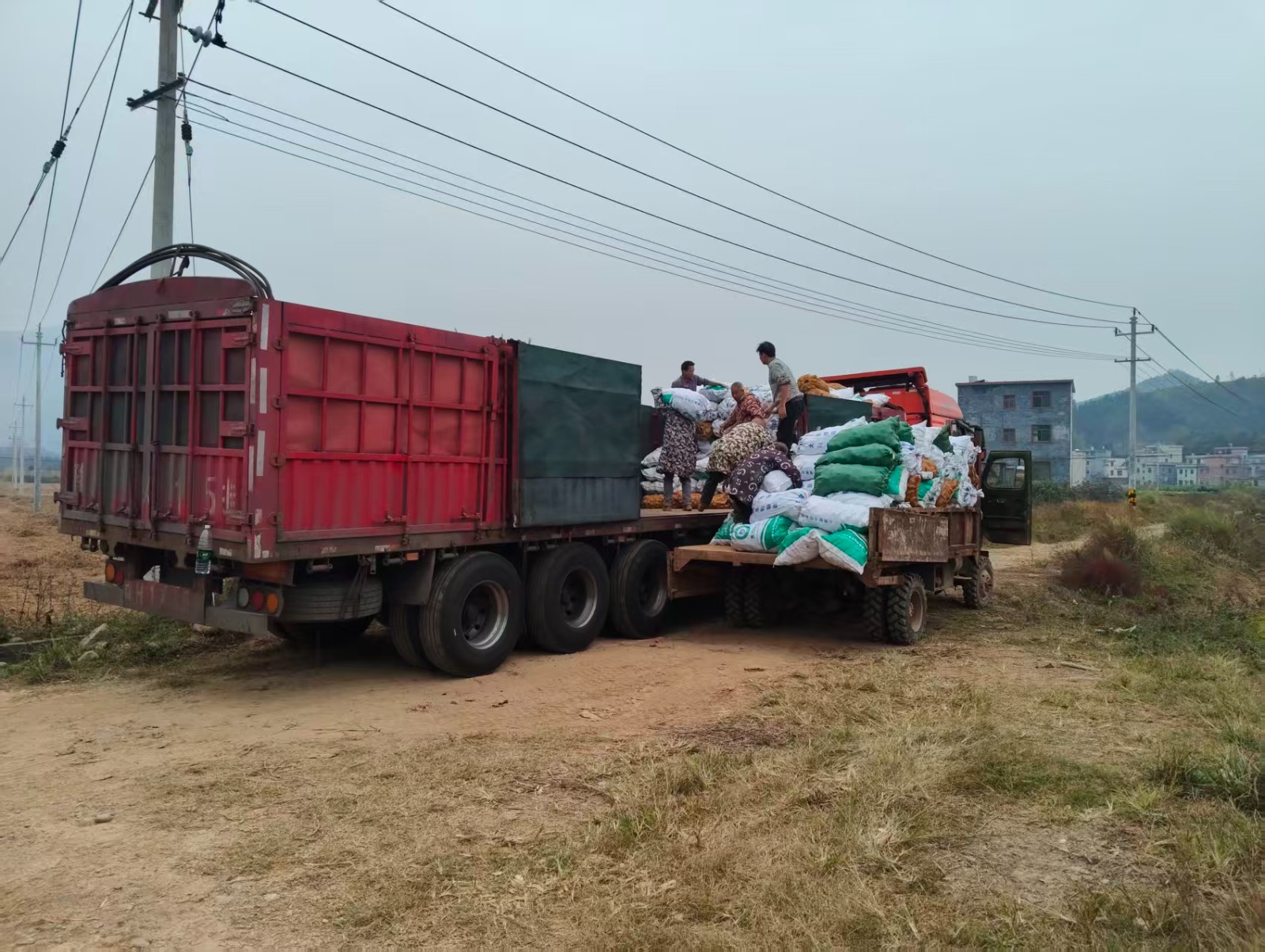 蓝山：种养结合打开群众“致富路”