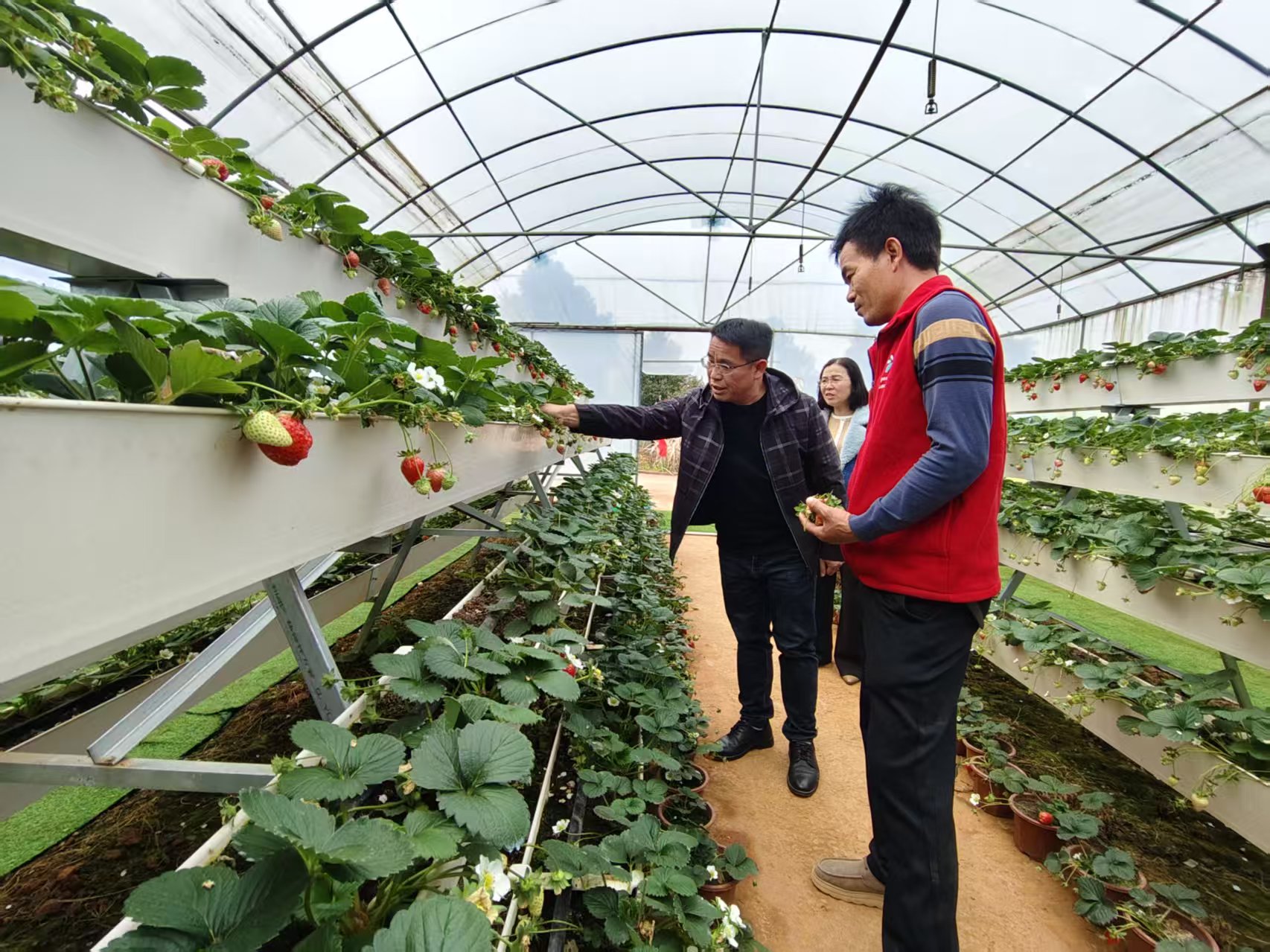 蓝山：高素质农民培训强本领 跟踪服务提质效