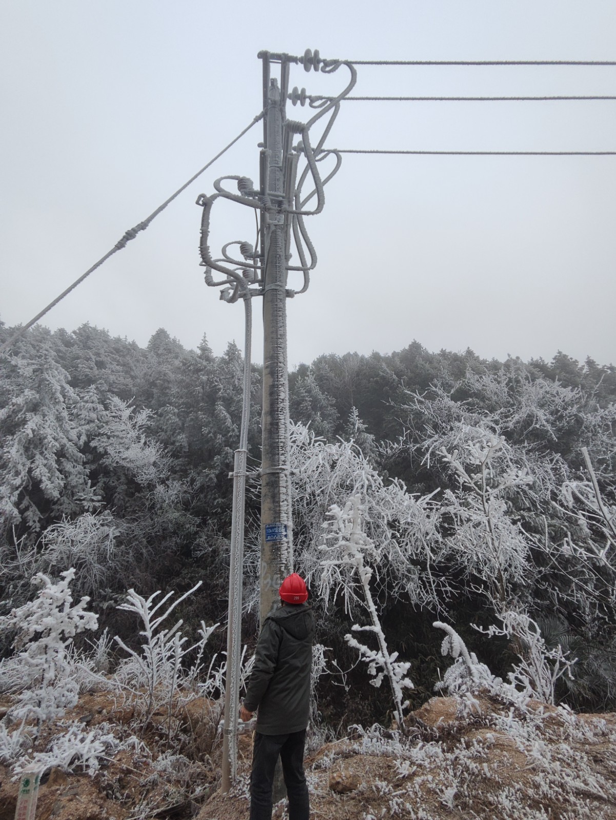 国网蓝山县供电公司：战寒潮斗低温 全力守护万家暖冬