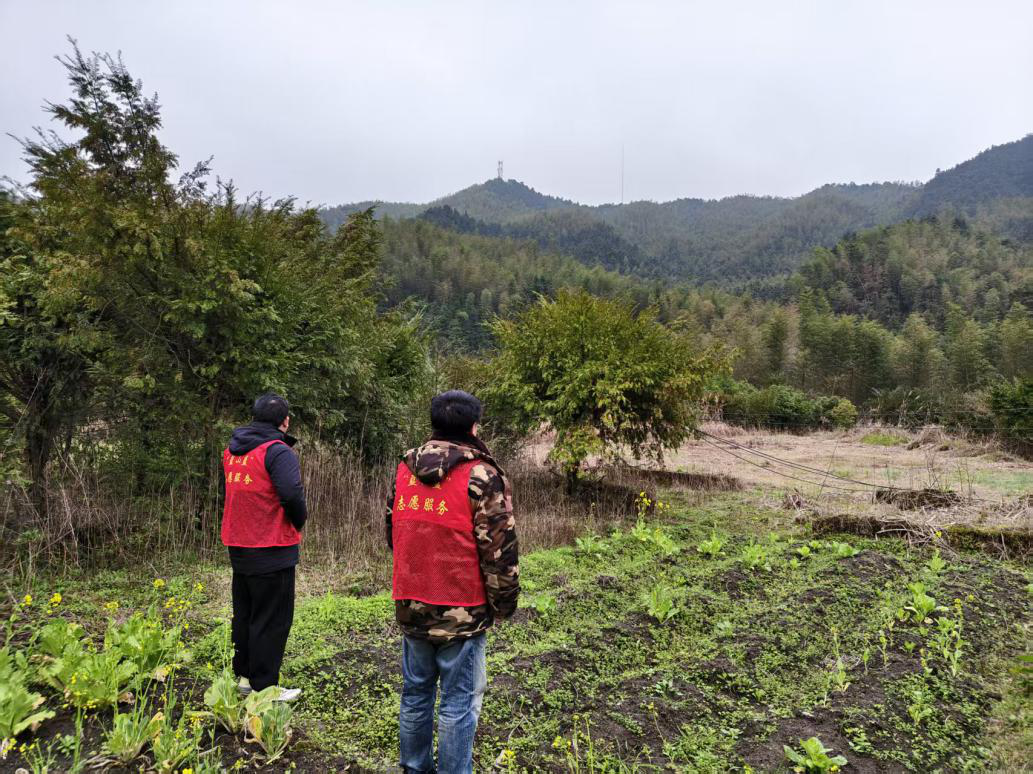 浆洞瑶族乡：春风踏查 禁种护绿