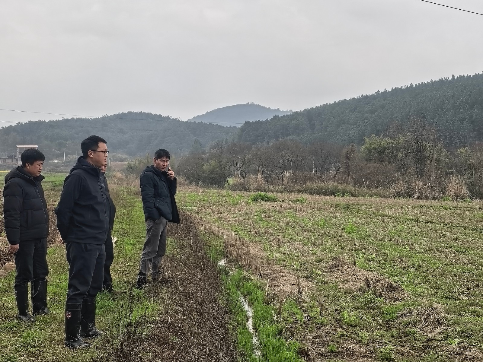土市镇与镇政协委员工作室联合开展粮食生产工作现场调研