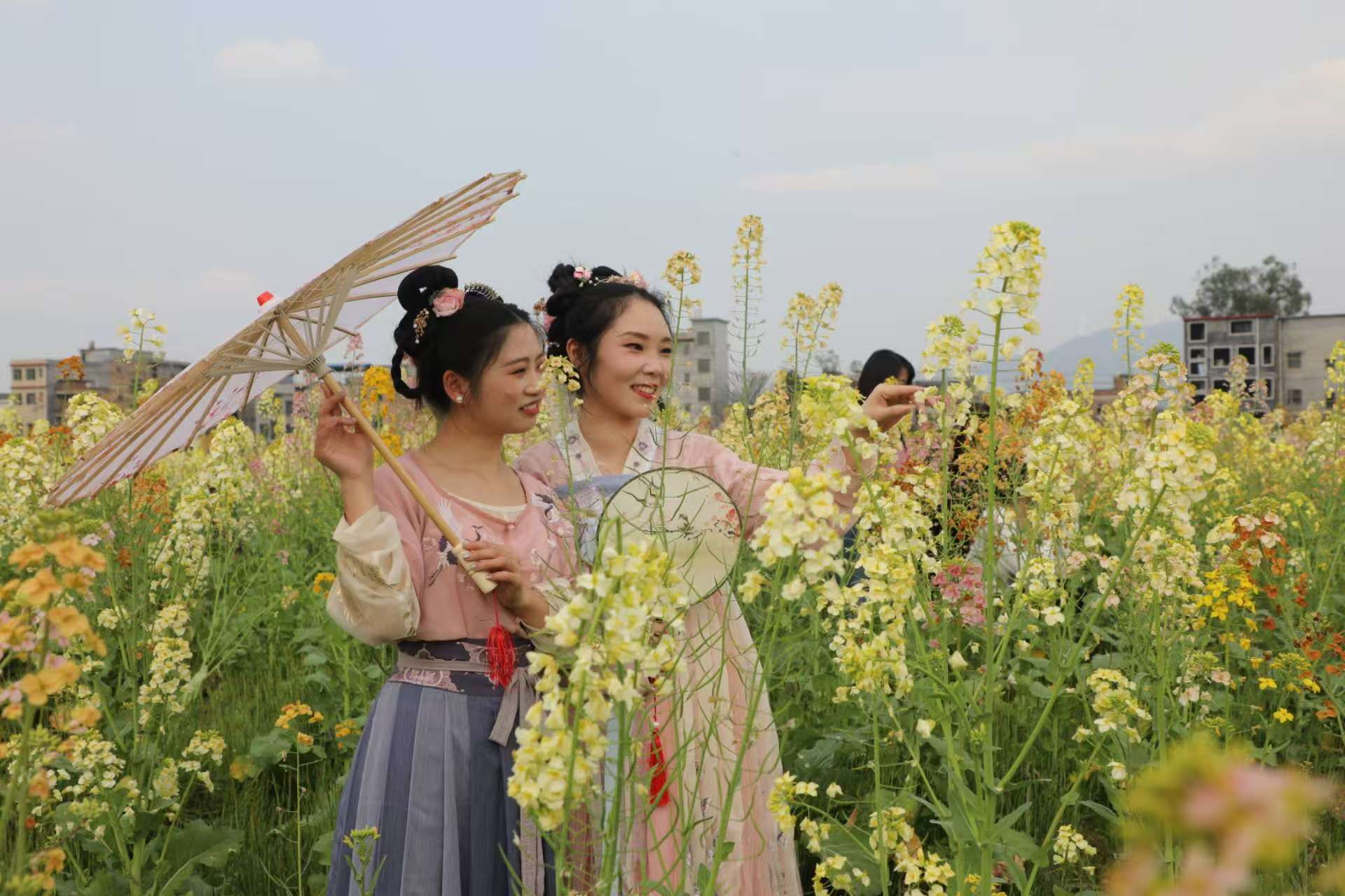 美景如画丨蓝山：七彩油菜花田绽放引客来