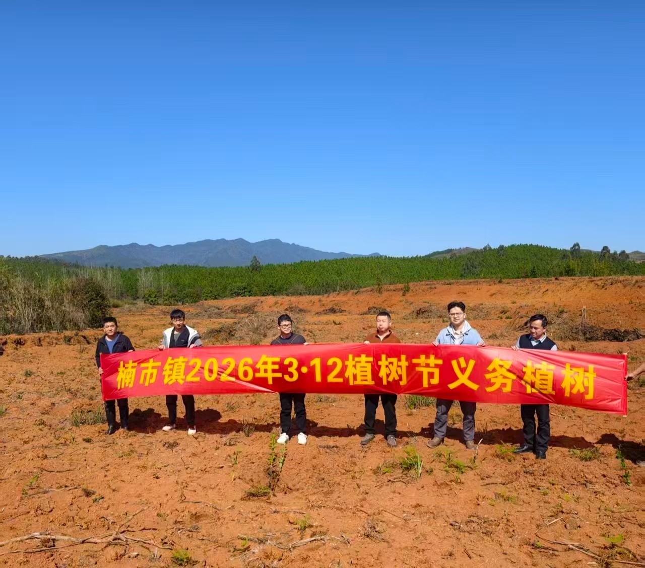 楠市镇：“植”此青绿正当时 油茶造林促振兴
