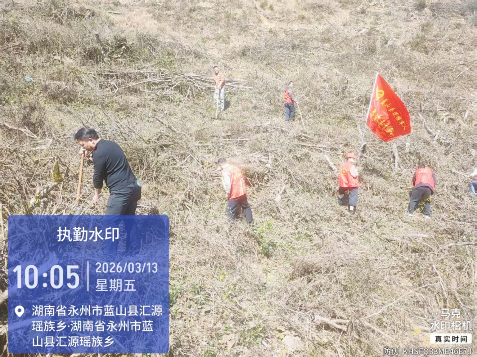汇源瑶族乡荆竹坪村植绿兴茶助力乡村振兴