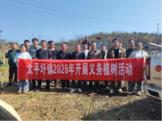 太平圩镇开展2026年义务植树活动