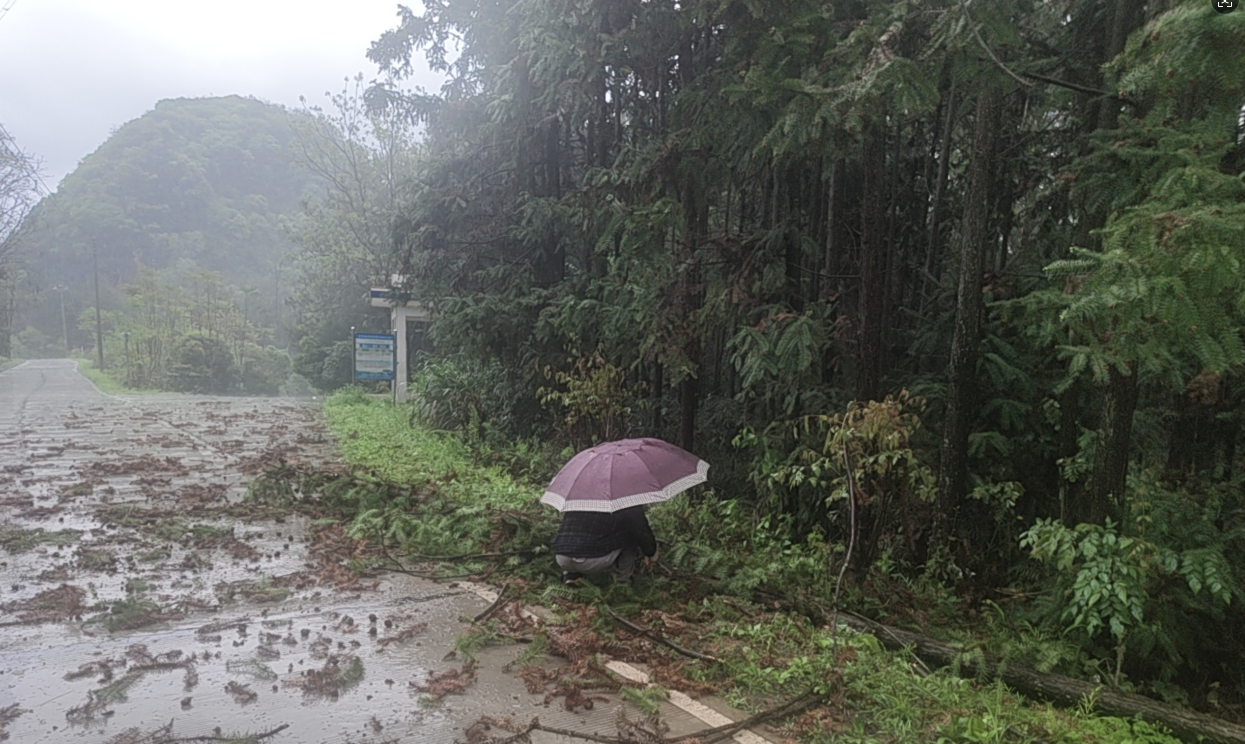 祠堂圩镇：暴雨侵袭显担当 清障保畅护民生