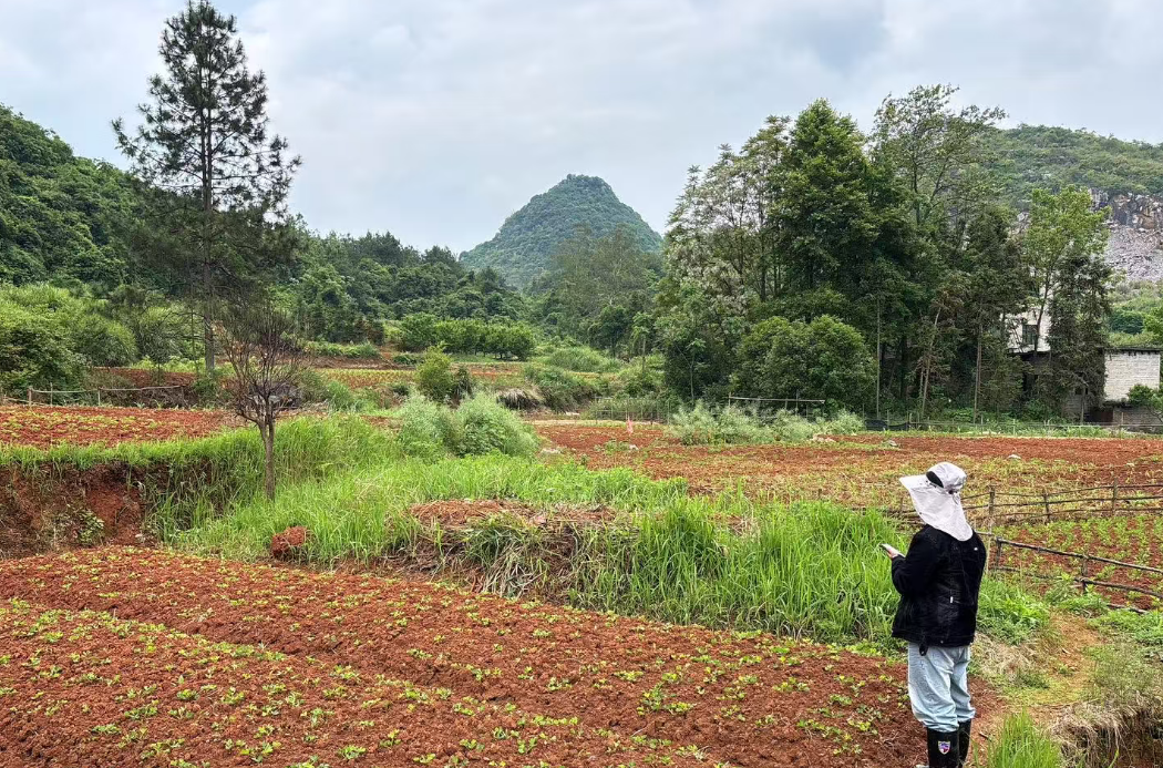 祠堂圩镇耕地恢复工作持续推进：守牢耕地红线，激活乡村振兴新动能
