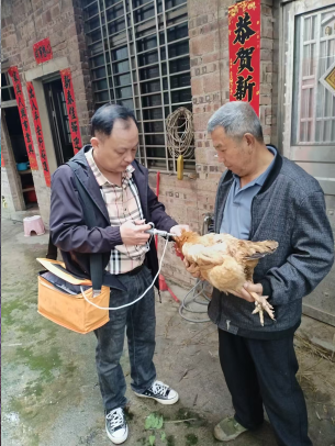 祠堂圩镇开展春季动物防疫工作 筑牢畜牧安全防线