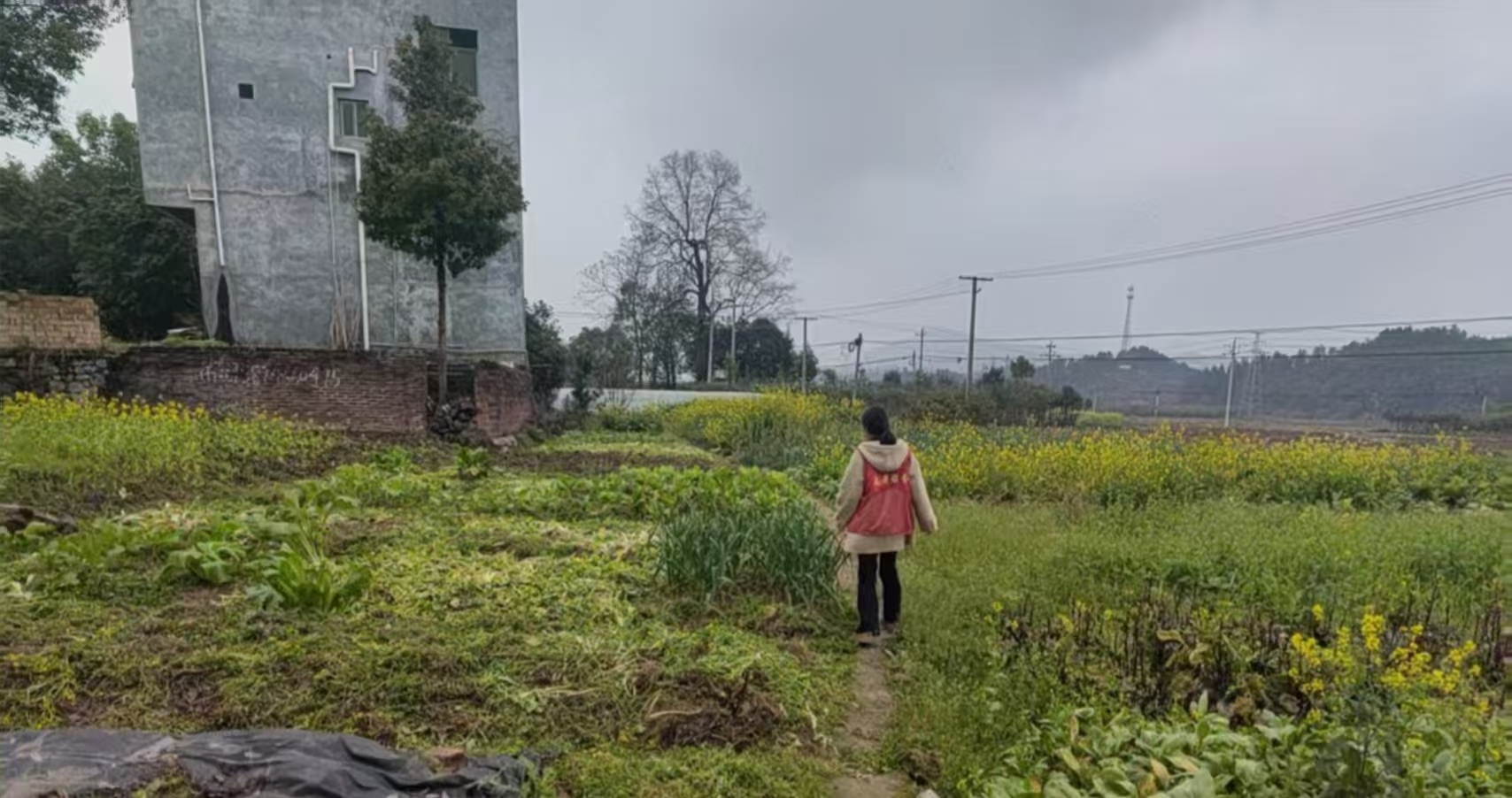 祠堂圩镇开展禁种踏查 筑牢乡村禁毒防线