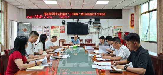 湘江源瑶族乡召开深化农村集体“三资”管理突出问题整治工作推进会