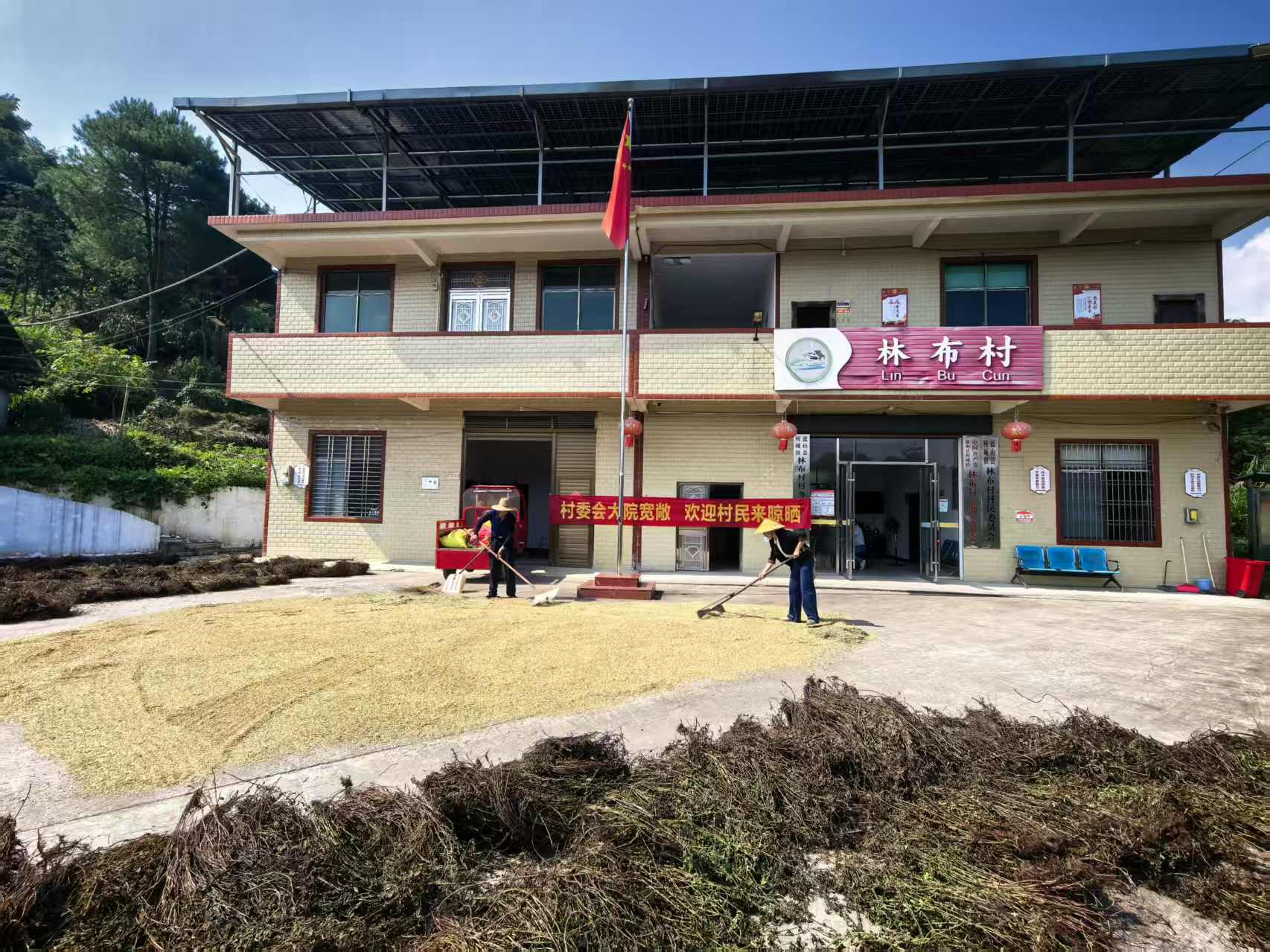 所城镇：村委会变身“晒粮场”暖心举措解民忧