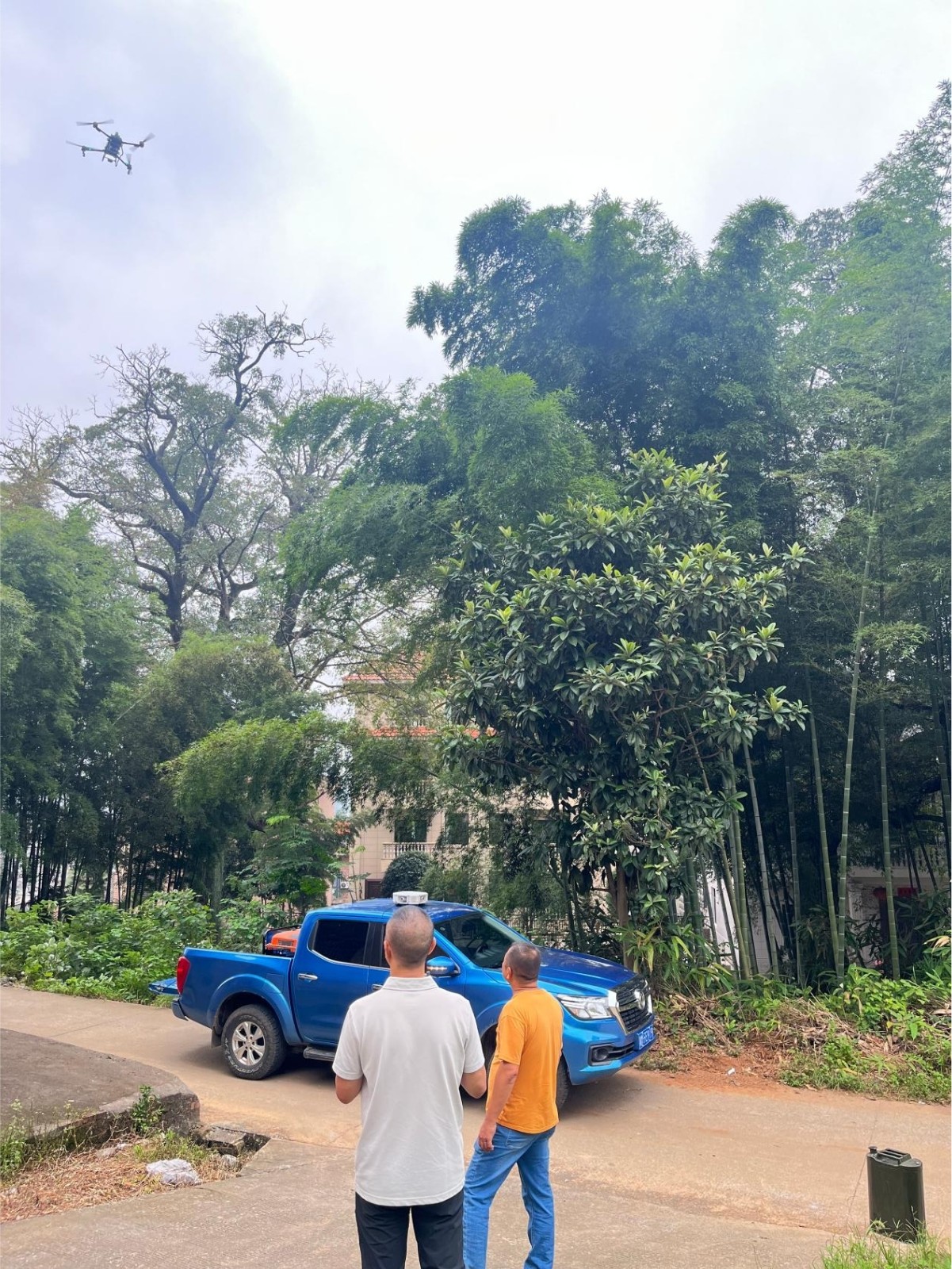 蓝山：科技护古树 飞防保绿意